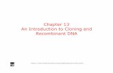Chapter 13 An Introduction to Cloning and Recombinant DNA Powerpoints... · 2007-03-29 · Chapter 13 Human Heredity by Michael Cummings ©2006 Brooks/Cole-Thomson Learning Genomic