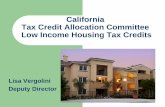 The ABC¢â‚¬â„¢s of Low Income Housing Tax Credits 2013-12-11¢  Low Income Housing Tax Credits . Lisa Vergolini