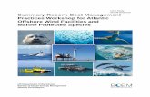 OCS Study Summary Report: Best Management Practices ...€¦ · held the “Best Management Practices Workshop for Atlantic Offshore Wind Facilities and Marine Protected Species”
