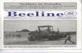Seabees in Somalia - Naval History and Heritage Command · 2016-11-30 · Seabees in Somalia 'Bees support Operation Restore Hope in war-torn eastern Africa. Coverage begins on page