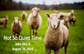 Not So Quiet Time€¦ · love God with gusto! 8. Contemplatives —love God through adoration. These people worship by their attentiveness, deep love, and intimacy. They have an