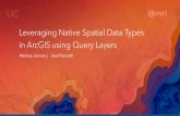 Leveraging Native Spatial Data Types in ArcGIS using Query ... · SAP HANA ALTIBASE Dameng Database Access - support ArcGIS Pro ALTIBASE Dameng DB2 Netezza Oracle ... -Geometry type