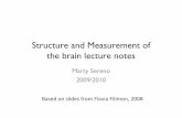 Structure and Measurement of the brain lecture notessereno/MSc/readings2/lecture1.pdfStructure and Measurement of the brain lecture notes Marty Sereno 2009/2010 ... • ~ -70 mV (depends