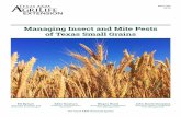 Managing Insect and Mite Pests of Texas Small Grains · 2018-09-21 · Managing Insect and Mite Pests of Texas Small Grains The Texas A&M University System. Cultural Practices .....