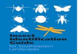 Insect Identification Guide - South Georgia Native Plant & … · 2014-03-12 · 2. How to use . this booklet. Go to the tab that best exemplifies the damage observed on . ornamental