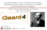 Parameterizing the Transport of Charged Particles through ...compassweb.ts.infn.it/rich1/jarda/Presentations... · Parameterization of the Transport of Charged Particles through Gaseous
