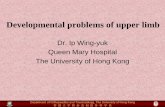 Dr. Ip Wing-yuk Queen Mary Hospital The University of Hong ... · Developmental problems of upper limb Dr. Ip Wing-yuk Queen Mary Hospital. The University of Hong Kong. Developmental
