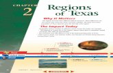 Chapter 2: Regions of Texas48 CHAPTER 2 Regions of Texas Mammoths and giant armadillos roam plains and woodlands The Coastal Plains Guide to Reading Main Idea The Coastal Plains region