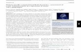 Patient-specific computational fluid dynamics-assessment ...bloodflow.engin.umich.edu/wp-content/uploads/sites/165/2016/11/JTCVS-2016.pdfPerspective In patients with aortic valve disease