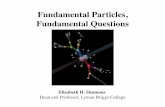 Fundamental Particles, Fundamental Questions · since the “particle quest” began.! Many questions about the fundamental particles and forces - and the origins of their masses