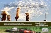 Cattails Harvesting for Carbon Offsets and Nutrient ... · Cattail Harvesting for Carbon Offsets and Nutrient Capture: A “Lake Friendly” greenhouse gas project 1 Executive Summary