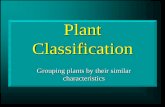 Plant Classification - Seneca High School Classification.… · Plant Classification Grouping plants by their similar characteristics . Plant Taxonomy Taxonomy = Classification. Scientific