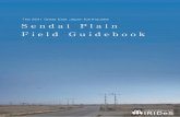The 2011 Great East Japan Earthquake Sendai Plain …...Sendai Plain Field Guidebook Field guidebook working group: International Research Institute of Disaster Science, Tohoku University