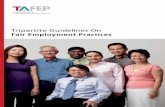 Tripartite Guidelines On Fair Employment Practices · Singapore is a meritocratic society and implementing fair and merit-based employment practices is the right thing to do. Singapoe