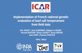 Implementation of French national genetic evaluation of beef calf … · 2017-10-28 · age between 4 et 10 months (opt. 5 - 8 months) age between 4 and 12 months (opt. 5 - 8 months)