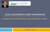 2016 CHILDREN'S CAMP WORKSHOP · 2016-04-25 · Provide fact sheet. 4. Keep the athlete out of play the day of the injury and ... King Devick (1976-recently for sideline concussion