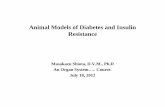 Animal Models of Diabetes and Insulin Resistance · 2012-07-18 · Animal Models of Diabetes and Insulin Resistance . Masakazu Shiota, D.V.M., Ph.D . An Organ System….. Course.