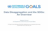 Data Disaggregation and the SDGs: An Overviewggim.un.org/meetings/2017-4th_Mtg_IAEG-SDG-NY/...disaggregation and develop an indicator classification system based on data disaggregation