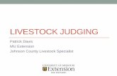 Livestock Judging - University of Missouriextension.missouri.edu/johnson/documents/Livestock... · 2013-04-12 · Breeding Sheep • Priorities • Growth and Performance • Ability