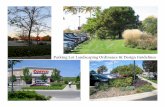 Parking Lot Design Guidelines - Glenview...Design Guidelines Surface Parking Lot Perimeters ok 1. The surface parking lot perimeter five (5) foot wide buffer is encouraged to be well-landscaped