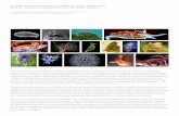 exploring bio-inspired systems in architecture · WEEK 01 OBJECTIVES: Introduction to concepts behind biomimetics and examples of successful implementation of bio-mimetic design process