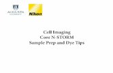 Cell Imaging Core N-STORM Sample Prep and Dye Tips · 2019-12-06 · Tips for STORM Sample Preparation • Compare performance of antibodies from multiple sources. • Optimize fixation