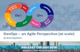 DevOps an Agile Perspective (at scale)€¦ · Brad Appleton DevOps: an Agile Perspective –Agile Day Chicago 2018 About the Presenter 2 Agile/DevOps/Lean Leader & Coach DevOps/ADLM/SCM