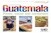 Potato, cocoa and cardamom...Guatemala’s growing tourism sector, which also allows farmers to hedge against price fluctuations in international markets. According to the study’s