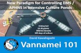 New Paradigm for Controlling EMS / APHNS in Intensive ...abccam.com.br/wp-content/uploads/2016/12/David-Kawahigashi-1.pdf · Target Market (majority) Razon Mexico Domestic Vibrio,