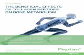 WHITE PAPER THE BENEFICIAL EFFECTS OF COLLAGEN …€¦ · suggesting that collagen can positively impact bone remodelling.iv In a second study by the same group, the administration