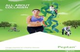 ALL ABOUT COLLAGEN. Peptan- All... · collagen peptide brand 18/19 Recipes for a healthy lifestyle Beet and berry smoothie Miso soup. 4 What is collagen Collagen is a protein found