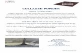 COLLAGEN POWDER - Nizona Japan · Collagen provides multidimensional benefits for skin, bone and joint health by regenerating the cells needed for maintaining an active lifestyle