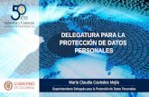 DELEGATURA PARA LA PROTECCIÓN DE DATOS PERSONALES · Telmex Colombia S.A. 22 Credivalores Crediservicios S.A.S. 21 Crear País S.A. 16 Directv Colombia Ltda. 15 Mundial de Cobranzas