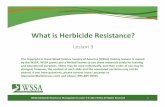 What is Herbicide Resistance?...weeds are herbicide‐resistant. Resistance is heritable. It can be passed from one generation to the next. In general, weed populations are genetically