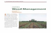 Chapter 6 Weed Management - Organic Risk Management · Chapter 6 Weed Management I n Chapter 5—Weed Biology, we discussed how weeds grow and compete with crops. While there inevitably