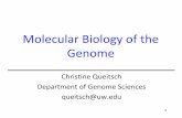 Molecular Biology of the Genome - Biostatistics...The “Central Dogma” of Molecular Biology Information into protein flows one way A universal code: 3 nucleotides = 1 amino acid