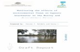 Monitoring the effects of environmental flows on … · Web view‘Monitoring the effects of environmental flows on hypoxic blackwater in the Murray and Murrumbidgee Rivers, Commonwealth