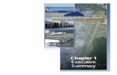 CAE Chapter 1 - XSUM - FINALCHAPTER 1 EXECUTIVE SUMMARY 1.1 BACKGROUND 1.1.1 Introduction In 2003, the Richland Lexington Airport District (RLAD) Commission completed an initial well-articulated