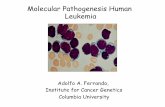 Molecular Pathogenesis Human LeukemiaMolecular Pathogenesis Human Leukemia Adolfo A. Ferrando, Institute for Cancer Genetics Columbia University . Stem Cell Promegakaryocyte Promonocyte