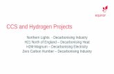 CCS and Hydrogen Projects - Nordic EnergyCCS and Hydrogen Projects Northern Lights - Decarbonising Industry H21 North of England – Decarbonising Heat . H2M-Magnum – Decarbonising
