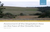 Assessment of the oroville Vegetation Area on the Face of ... · OROVILLE DAM SEEPAGE COLLECTION 2 2.1 DESIGN FEATURES As stated in Section 1.3, Oroville Dam was designed to minimize