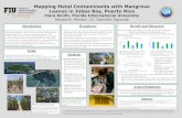 Mapping Metal Contaminants with Mangrove Leaves in Jobos ......Mapping Metal Contaminants with Mangrove Leaves in Jobos Bay, Puerto Rico Clara Smith, Florida International University