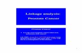 Linkage analysis: Prostate Cancer - UB · Linkage analysis: Prostate Cancer • It is the most frequent cancer (after non-melanoma skin cancer) • In 2005, more than 232.000 new