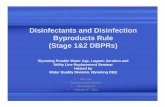Disinfectants and Disinfection Byproducts Rules (DBPRs) · 2013-02-28 · WHY DBPR? • Purpose of DisinfectionPurpose of Disinfection-To Kill or toTo Kill or to inactivate disease-causing