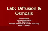 Lab: Diffusion & Osmosis - Chandler Unified School District · Hypertonic Now, what does this actually look like? Extracellular Fluid (Solution) Concentration Cytoplasm (Cell) Concentration