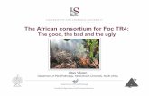 The African consortium for Foc TR4banana-networks.org/Bapnet/files/2017/09/BAPNET-2016... · 2017-09-07 · The African consortium for Foc TR4: The good, the bad and the ugly. Contents