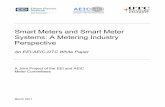 Smart Meters and Smart Meter Systems: A Metering Industry ...Smart Meters and Smart Meter Systems: A Metering Industry Perspective Edison Electric Institute v Acknowledgements This
