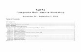 AMTAS Composite Maintenance Workshopdepts.washington.edu/amtas/events/wkshp_04nov/Wrkshp_report.pdfcritical damage types, inspection methods and repair procedures for composite and