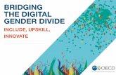 BRIDGING THE DIGITAL GENDER DIVIDE - OECD...Digital Economy Ministerial in Salta in August 2018. The OECD report aimed to provide policy directions for consideration by all governments,