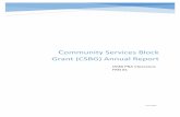 CSBG Annual Report - Community€¦ · Annual Report – State Administration Module Note: When completing the annual report, respondents will first select the Federal fiscal year